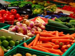 Начал работу оптовый рынок сельхозпродукции