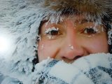 У Казахстані через аномальні вітри та морози тварини замерзають на ходу