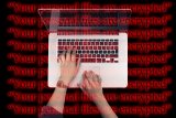 Волна кибератак из РФ может затронуть Украину