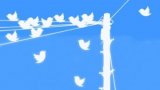 Twitter Blocks Hundreds of Accounts Due to RF Interference with U.S. Elections