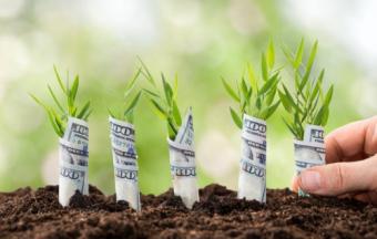 Робоча група по земельній реформі обговорює продаж госземель як перший етап запуску ринку