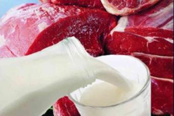 Украина получила разрешение на экспорт мясной и молочной продукции в Армению
