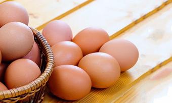 «Союз птахівників» пояснив причину падіння цін на яйця перед Великоднем