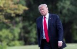 Трамп надеется отменить пошлины на сталь и алюминий