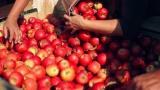 ЕС расширит квоты для сельхозпродукции из Украины