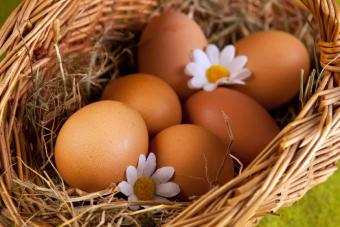 В Україні за десять днів яйця подешевшали на 18 відсотків - Держстат
