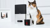 Украинский стартап Petcube получил ещё 10 миллионов долларов финансирования