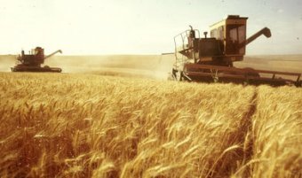 В Україні запустили онлайн-майданчик для торгівлі агропродукцією
