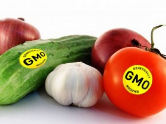 Депутати пропонують ввести державний контроль за ГМО-продукцією
