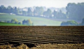 Ministry of Agricultural Policy Comments on ECHR Decision on Moratorium of Land Sales