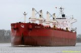 Український порт прийняв корабель із токсичним нефтекоксом для &laquo;Донбасенерго&raquo;, &ndash; ЗМІ