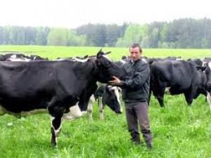 Миндоходов намерено собирать с животноводов на 1 млрд. грн. налогов больше