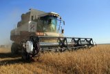 Новый урожай в Украине бьет рекорды