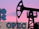 Члени ОПЕК попросили скликати екстрене засідання