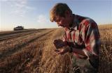 Прибуток українських фермерів може скоротитися в 2017-2018 роках – експерт