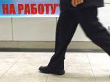 Минсоцполитики готовит новую программу трудоустройства