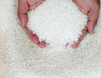 Експорт сільгосппродукції виріс майже на 50 відсотків в Кизилординській області Казахстану