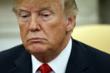 Трамп отложил встречу с Путиным &ndash; СМИ