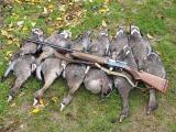 У Казахстані заборонили весняне полювання на птахів на три роки