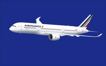 Air France планирует сократить 2,9 тыс сотрудников