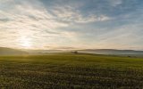 В Україні запустять електронні земельні аукціони