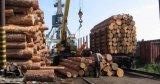 Гройсман обіцяє звіт про боротьбу з контрабандою лісу вже у вересні
