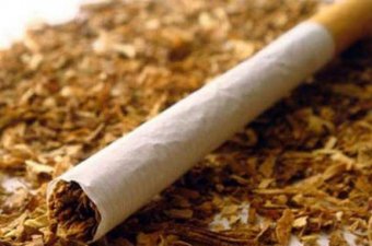 Екс-дружина судді Ємельянова інвестує у контрафактний тютюновий бізнес – «Наші гроші»