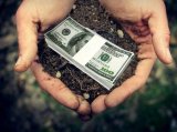 У ДФС розповіли про податкові злочини в агросфері