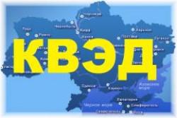 До 1 января необходимо заменить коды вида экономической деятельности