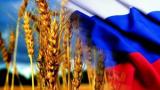 Russian Zeroes Export Duty on Wheat