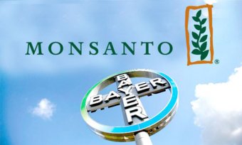 АМКУ дозволив злиття Bayer та Monsanto
