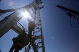 Burisma Злочевського почала поставки природного газу