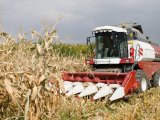 Три національні бренди по просуванню сільськогосподарської продукції створюються в Казахстані