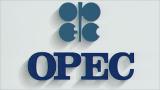 OPEC daily basket price decreased to $38.04 a barrel for the first time since 2004