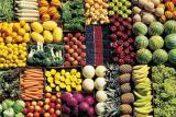 Президент подписал Закон о повышении безопасности и качества пищевых продуктов