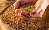 Україна продала 35 мільйонів тонн зерна