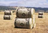 Инвестиции в аграрный сектор выросли на 60%