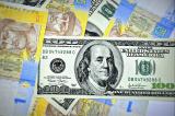 Foreign exchange market indicators as at January 19, 2017