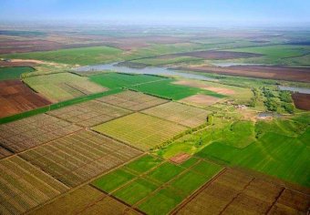 У МЕРТ запропонували створити публічну кадастрову карту земель і полігонів