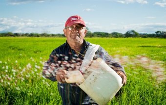 Кабмін дозволив часткову компенсацію за кредитами для великих сільгоспвиробників