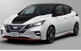 Психоневрологічному інтернату в Києві знадобився Nissan Leaf за 1,1 млн грн