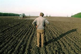 В Україні мінімальний термін оренди меліорованих земель продовжено до 10 років