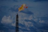Компанія Фукса отримала ще 11 спецдозволів на видобуток газу