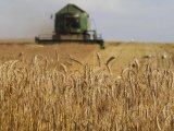 Харківський суд залишив пайовиків без урожаю: прокуратура думає, чи подавати апеляцію