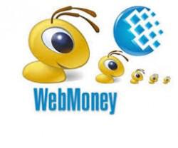 WebMoney приостановил прием платежей