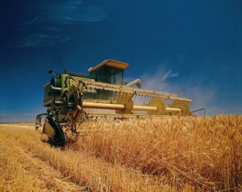 Доля аграрной продукции в украинском экспорте составила 43% - Минагропрод