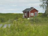 Земельные участки будут продаваться исключительно через аукционы, - Владимир Гройсман