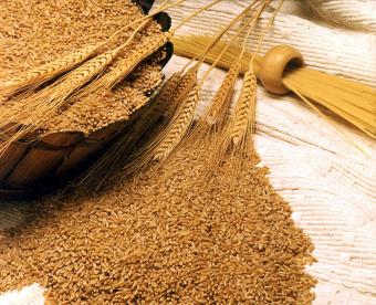 Світові ціни на пшеницю оновили мінімальні значення за 4 роки