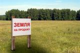 МВФ: Киев пообещал продажу земли с 2018 года