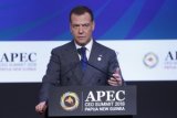 Medvedev Expresses Support for WTO Renewal, Russia
